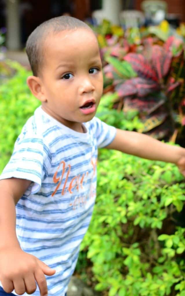 Alex 3 1