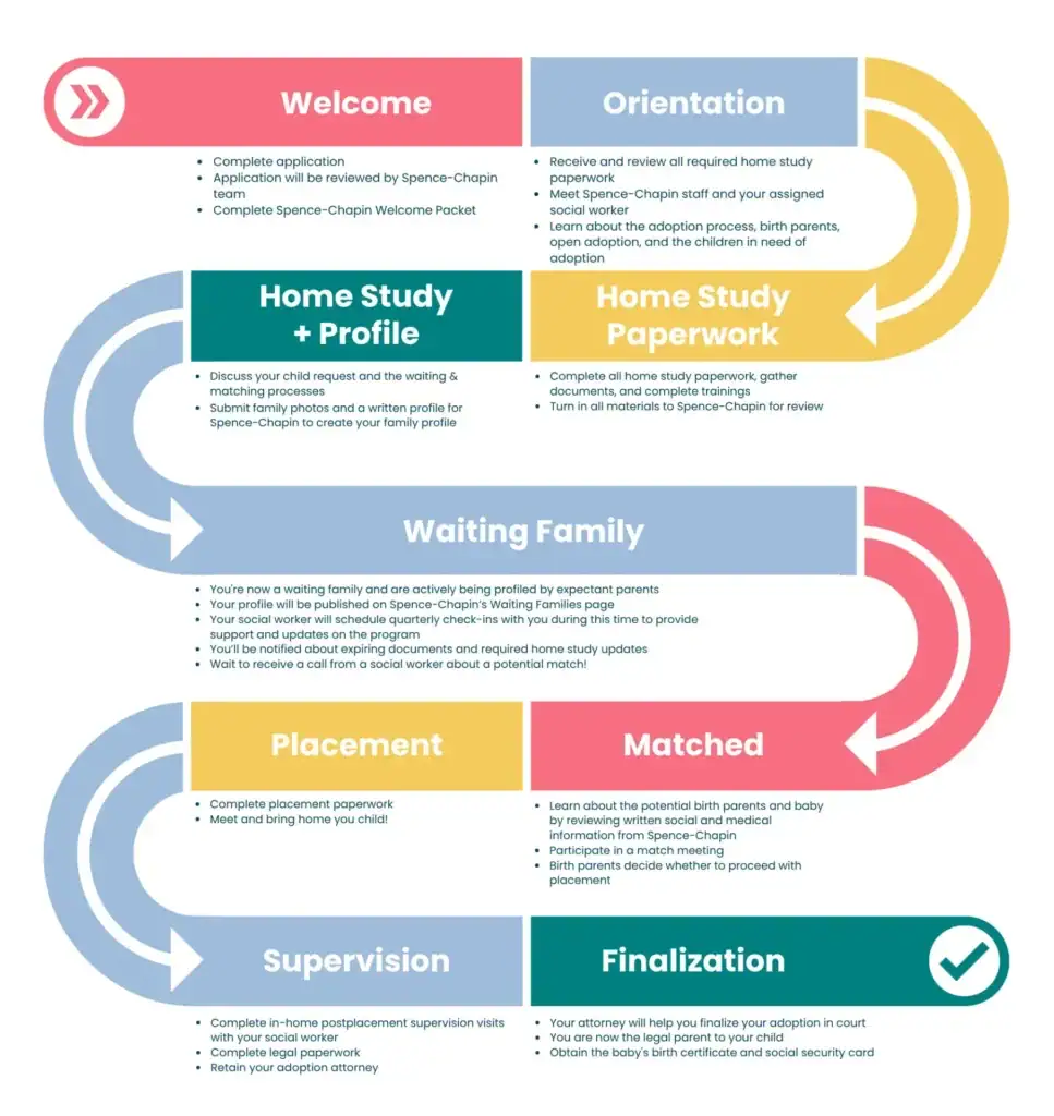 domestic adoption infographic snake