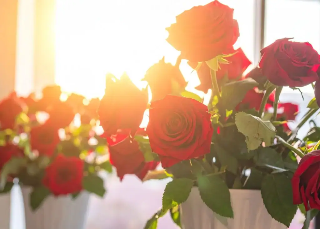 Events Page Photos (2)