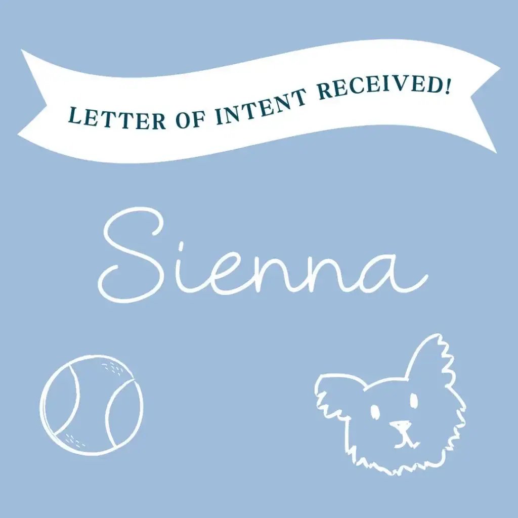 Sienna - Child Waiting for Adoption in Colombia