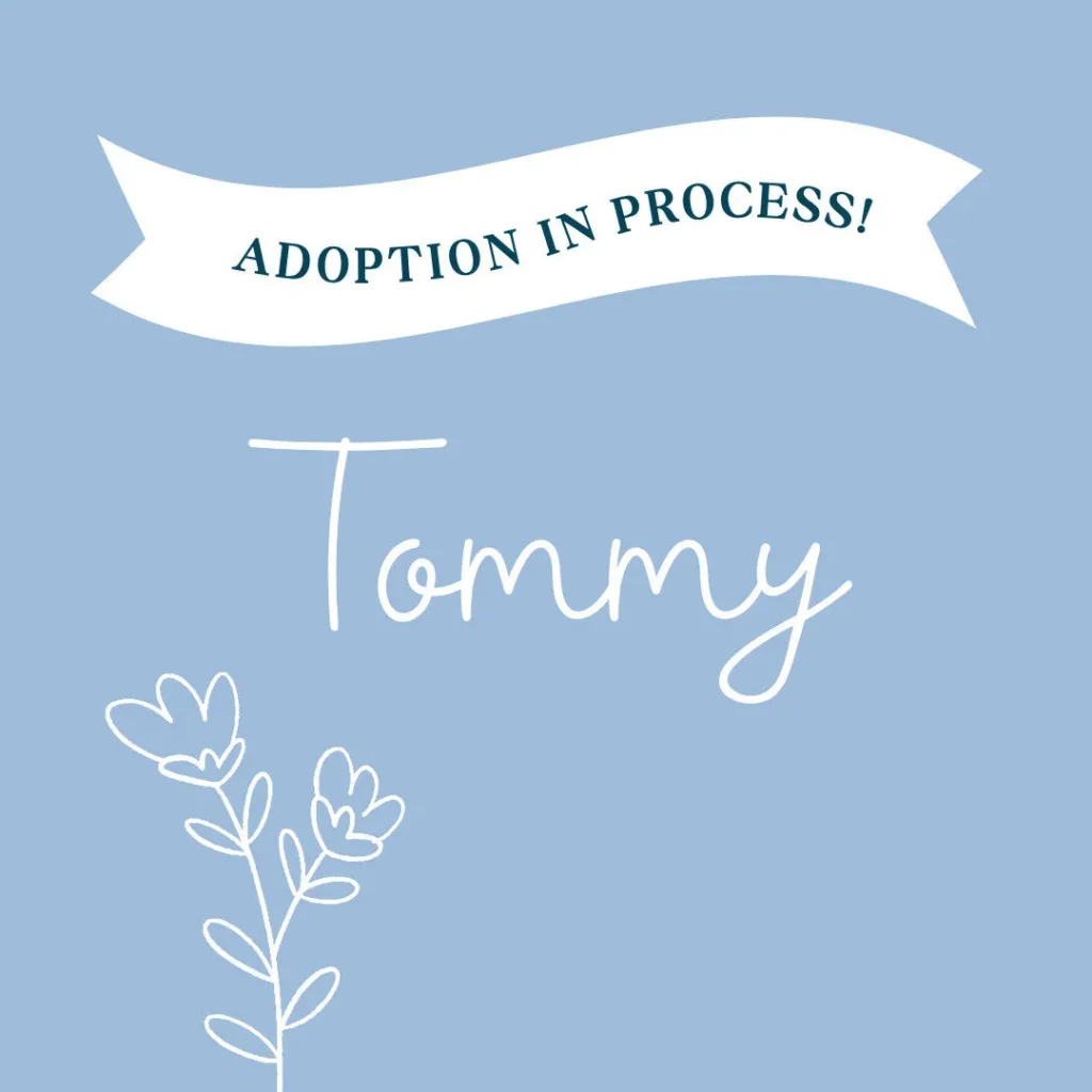 Tommy Waiting Child